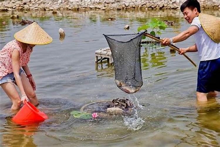 梦见在家里抓鱼是什么意思