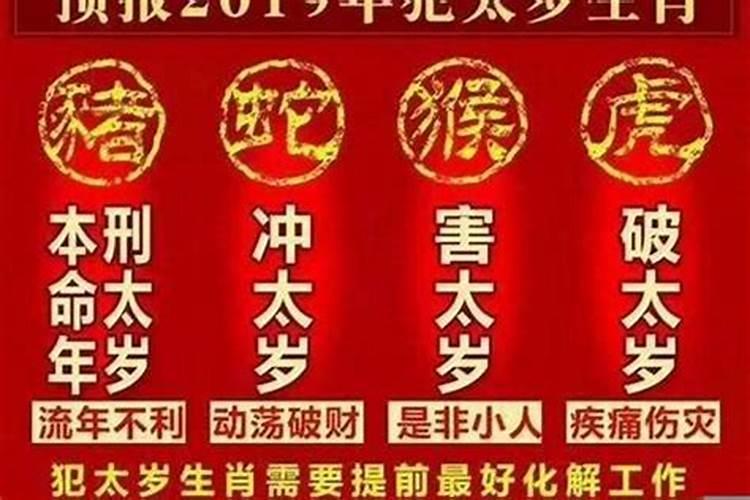 2023年生肖龙的全年运势如何