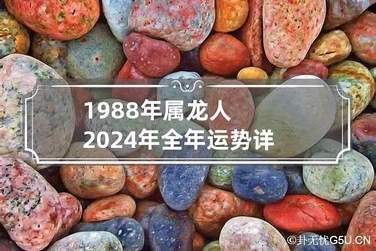 1988年属龙人今年运势如何呢男