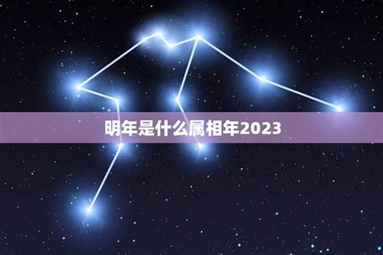 明年什么年属什么2021年什么属相好