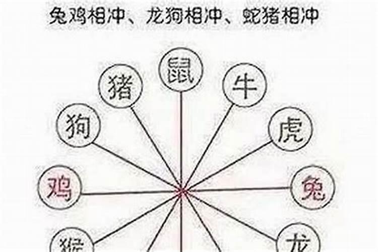 属鼠的和什么属相六和