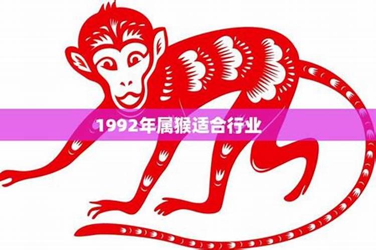 80年属猴的适合干什么职业