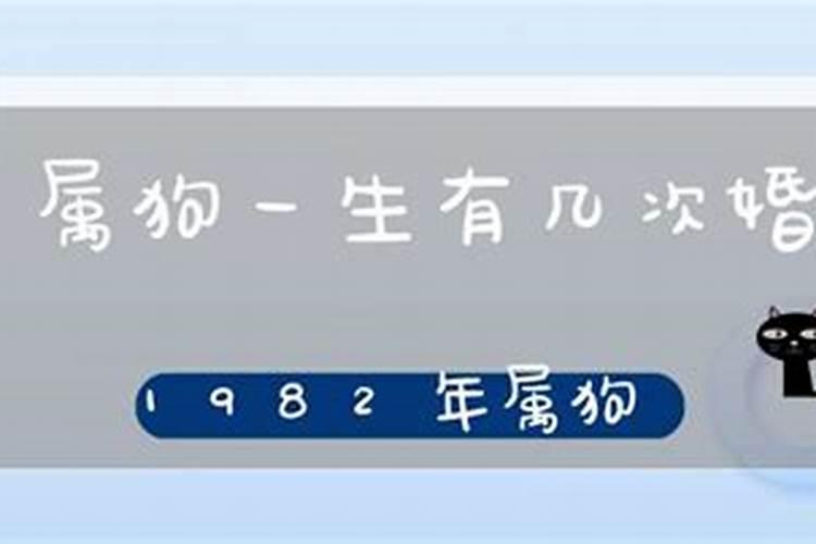 82年属狗女有几段婚姻