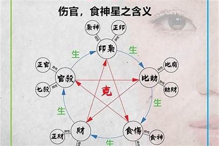 梦到蜂窝预示着什么