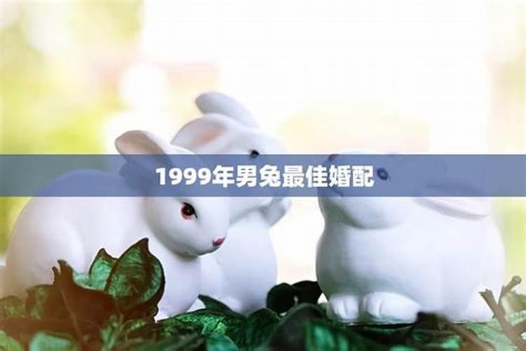 1999年男兔和1999年女兔婚姻相配如何呢