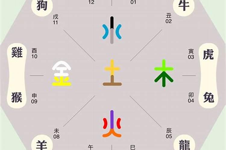 岱字在五行中属什么