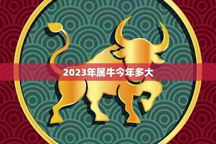 属牛的年龄表2023多大岁数