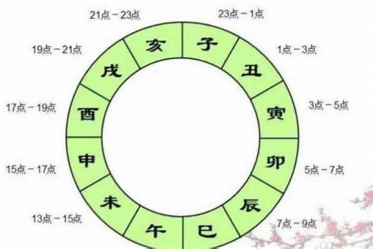 鸡人在2025年的运势如何