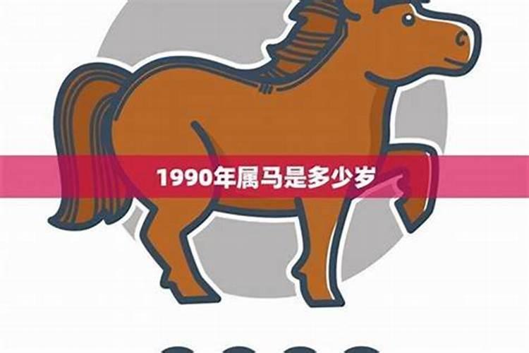 1990年属马属于什么命