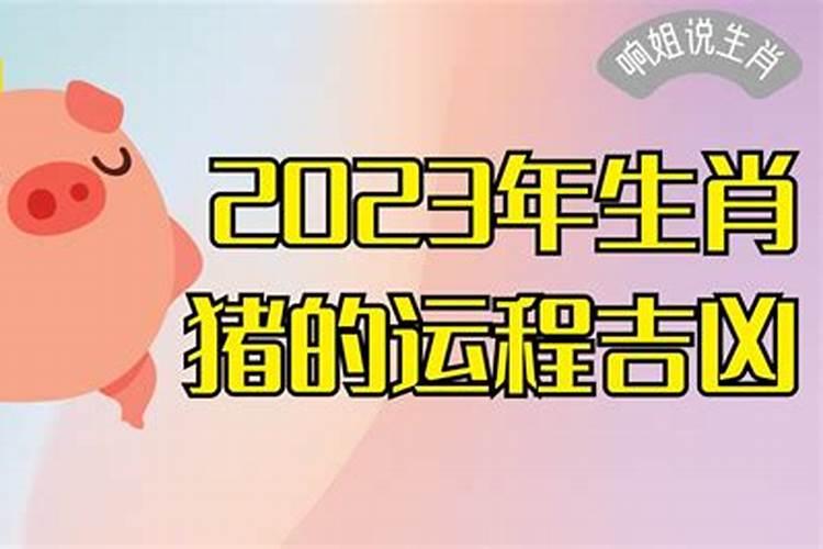 2019年属猪宝宝命运