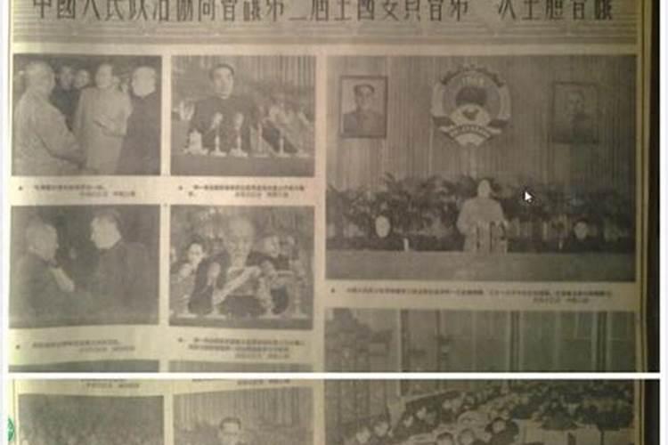 1954年属马的是什么