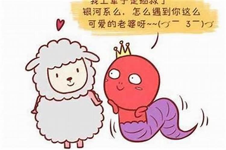 91年的男羊女羊合婚吗