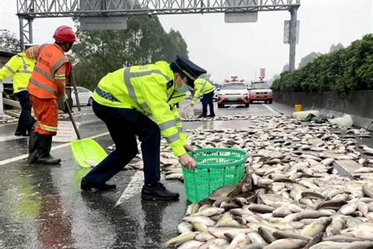 梦到鱼搁浅去救鱼自己也掉水里了什么意思