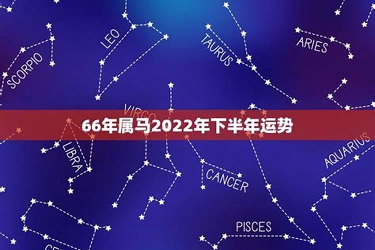 属马人运势2022年运势