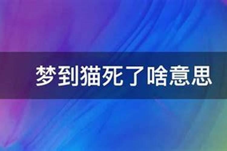 女孩子梦到猫死了什么意思