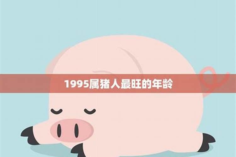 1995属猪人2022年运势运程每月运程