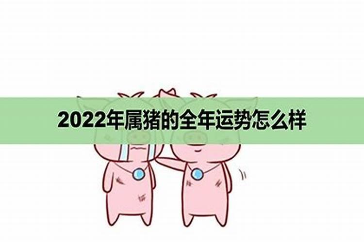 2022年属猪人的全年运势详解视频讲解