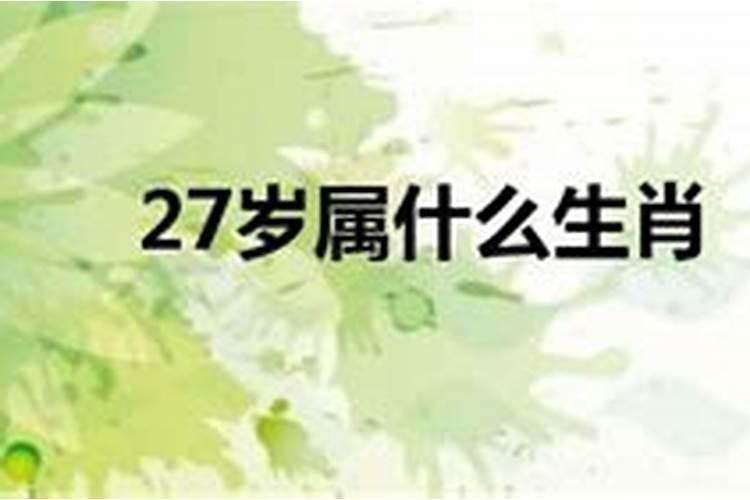 2018年27岁属什么生肖的