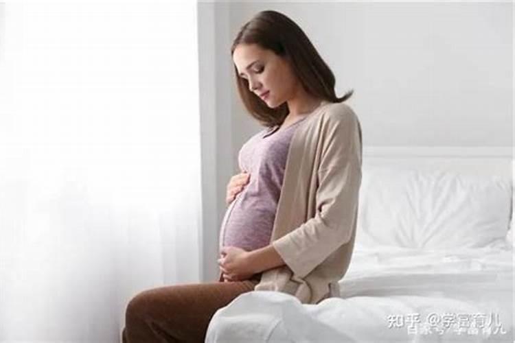 孕妇梦见一条小蛇是什么预兆女性