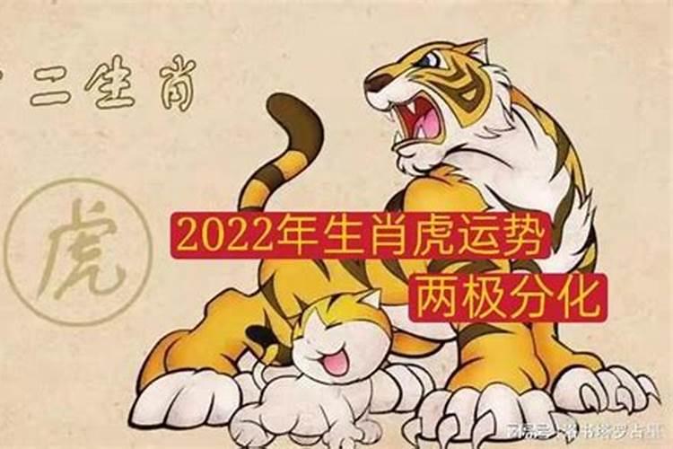 属虎2022年运势及运程每月运程官网