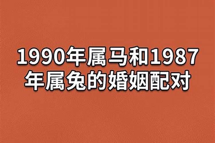 90年属马的和87年属兔的合不