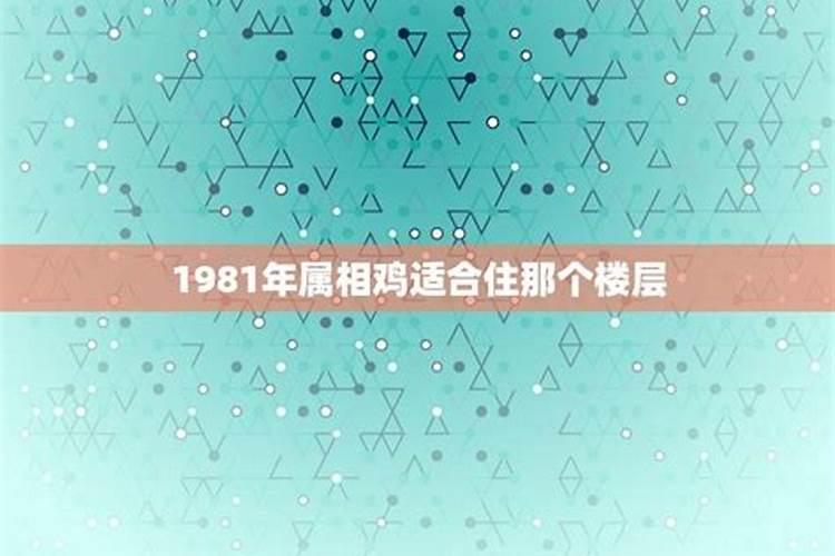 1981年属鸡选哪个楼层好一点