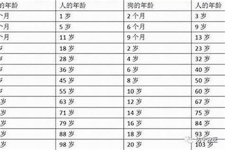 2023今年本命年多大