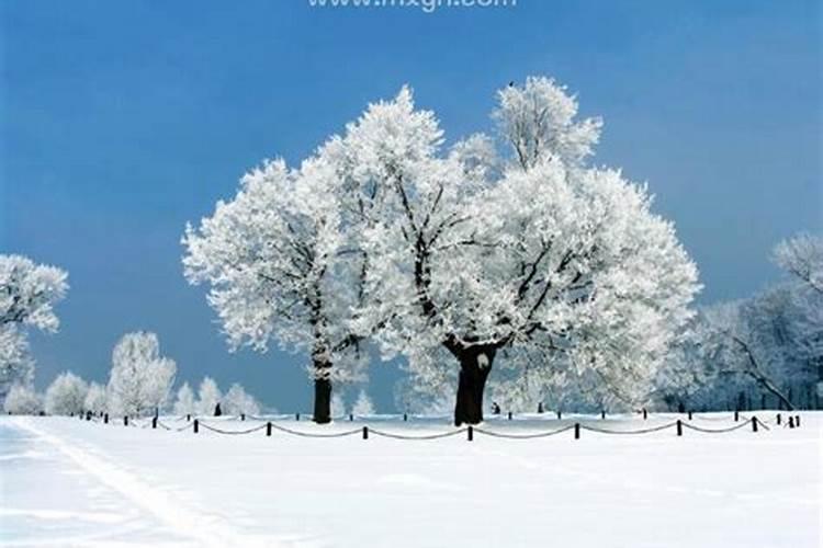 梦见玩雪是什么意思