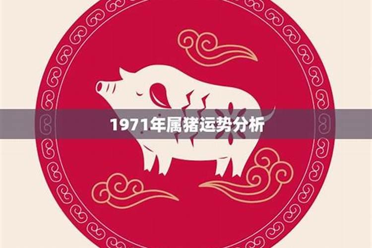 1971年属猪的命运怎么样