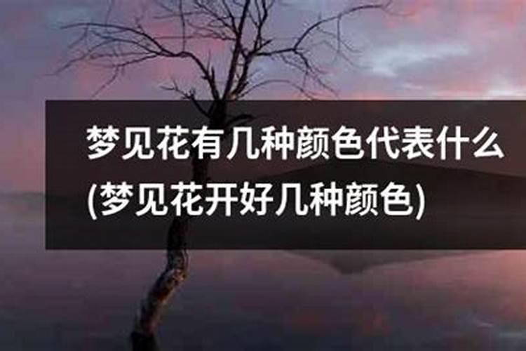 梦见树上开满各色鲜花