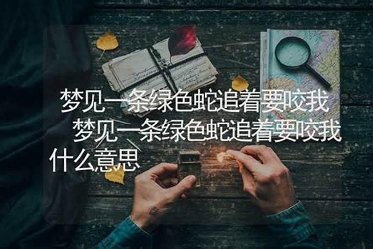 梦见一条小龙咬我什么意思