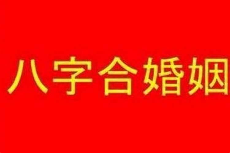 怎么看名字和八字合不合婚