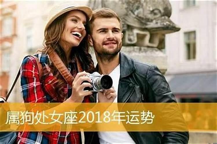 属兔人2019年运势运程每月运程