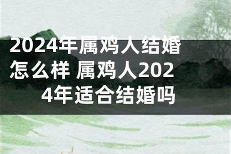 属猪2024年适合结婚吗女