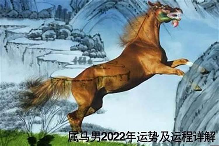 虎年马的运势2023运势怎么样