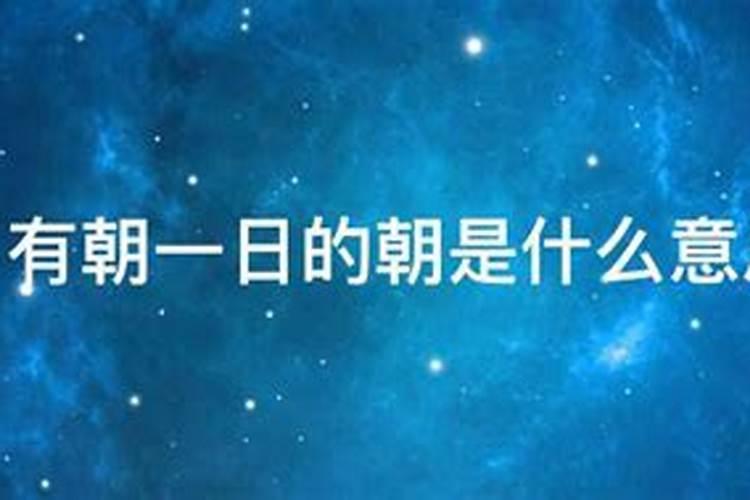 属猪人的2025年的全年运势如何