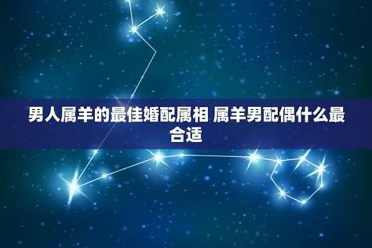 男士属羊的婚配属相，属羊人2023年全年运势如何