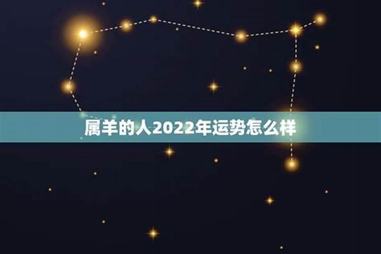 属羊的人今年运势怎么样,2022