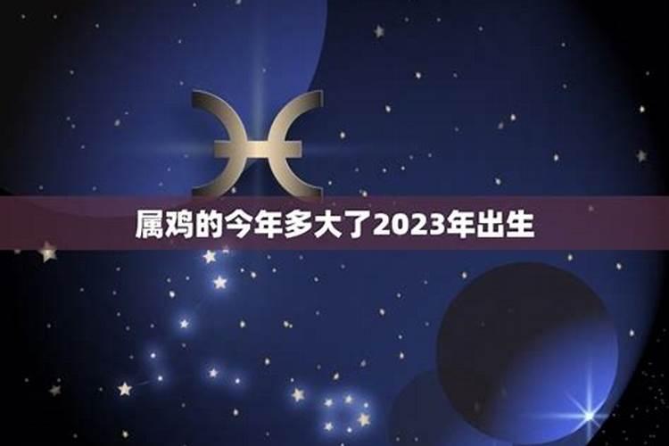 属鸡的多大了2022