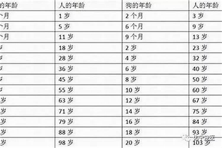 本命年怎么算的