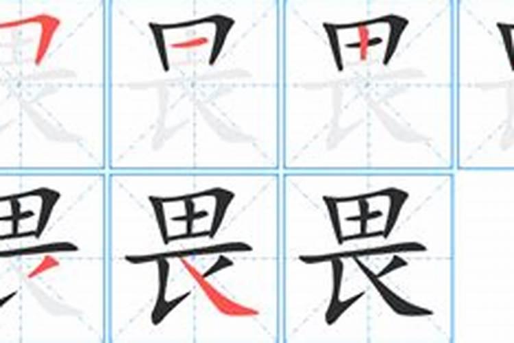 畏字是什么生肖