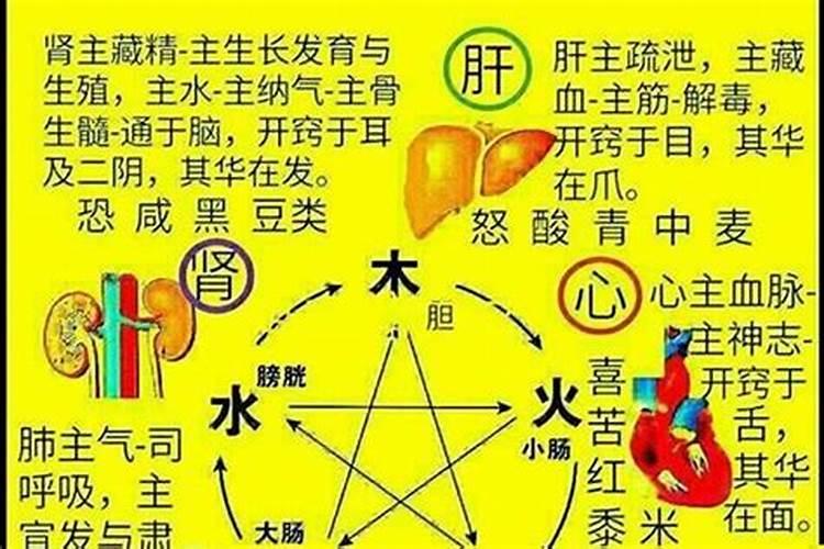 五行属火的有那些字和名字