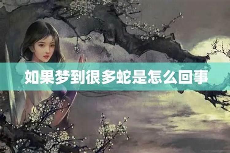 做梦梦见好多蛇是怎么回事啊