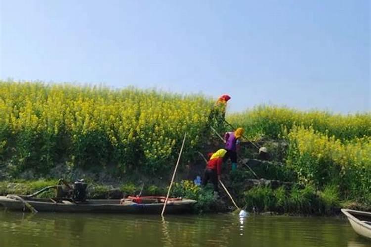 梦见水灌溉田地好不好周公解梦