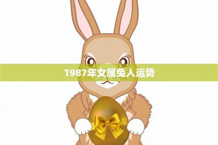 1987年属兔女一生运程