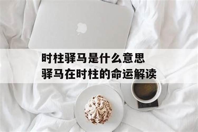 属鼠童子命怎么样