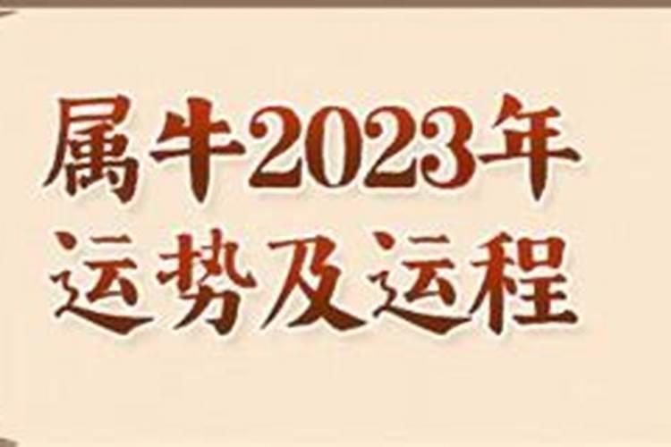 属牛运势2023年运势每月运势详解