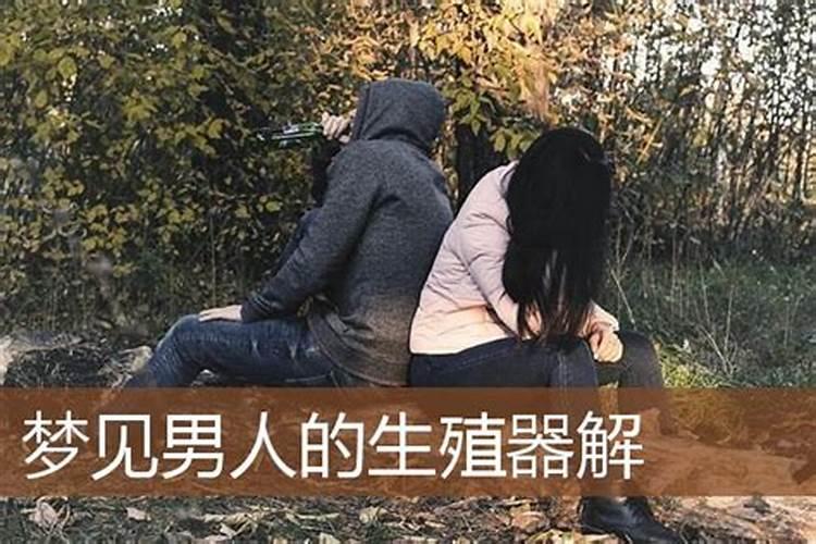 梦见男人的生殖很小