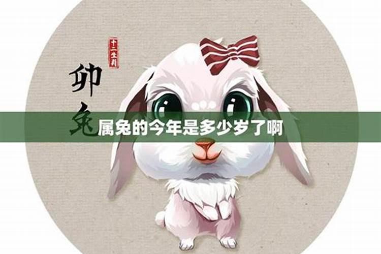 今年三十四岁属兔命运如何