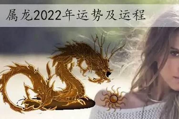 2023属龙人的运势如何样